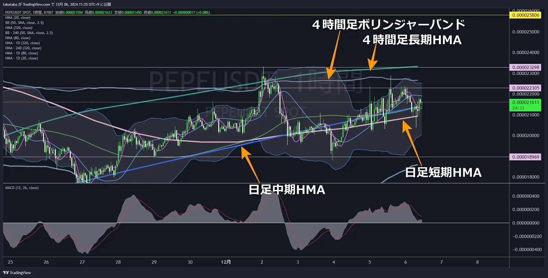 PEPEUSDT-1h-2024-12-06