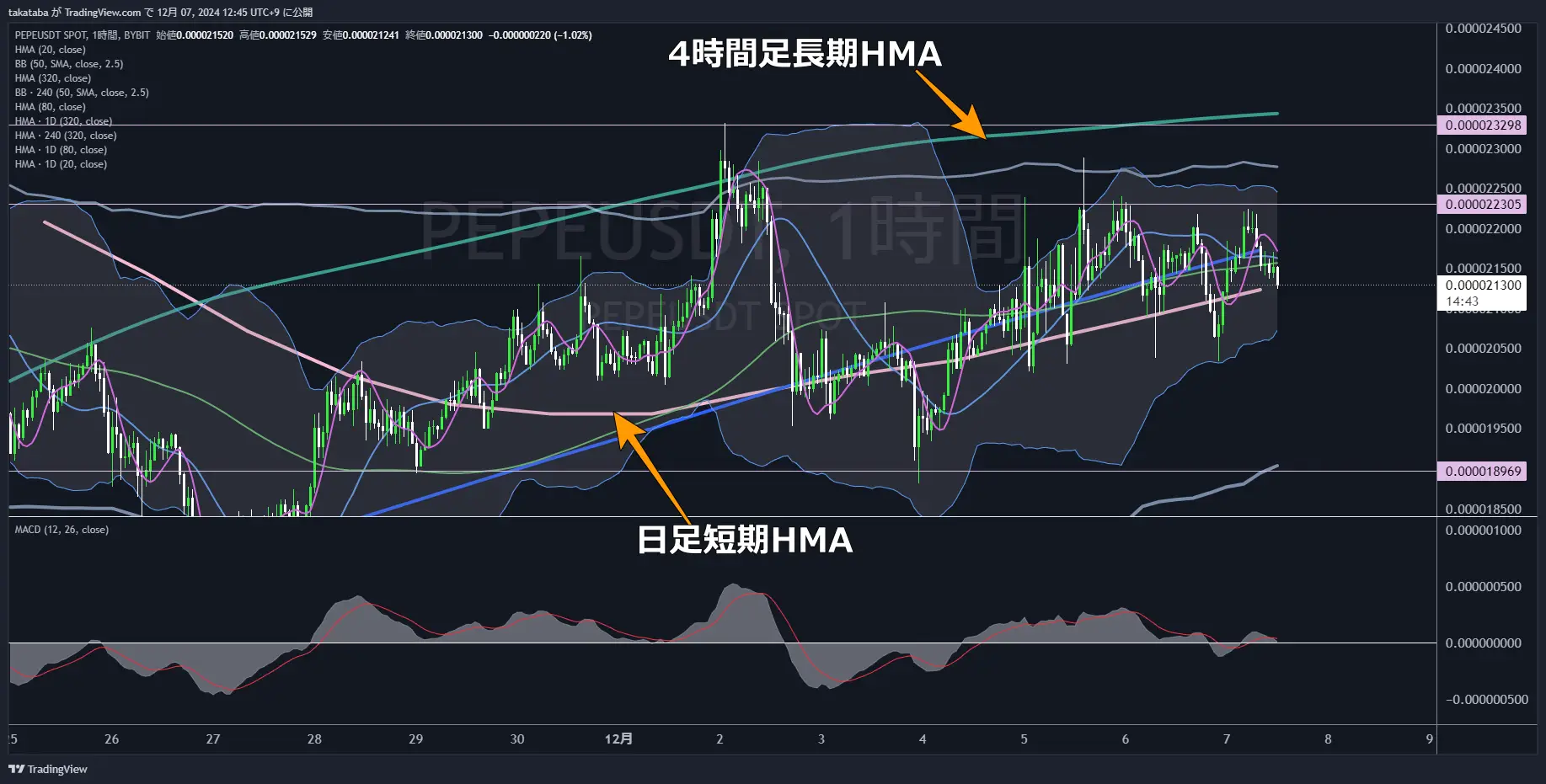 PEPEUSDT-1h-2024-12-07
