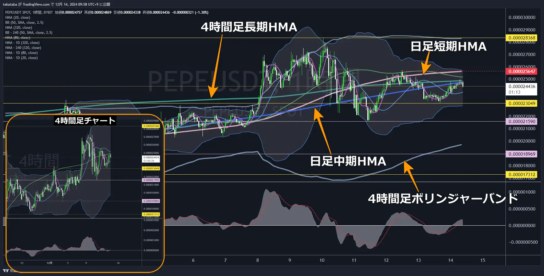 PEPEUSDT-1h-2024-12-14