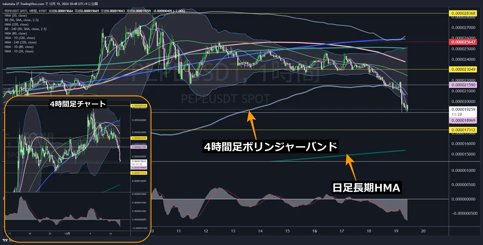 PEPEUSDT-1h-2024-12-19
