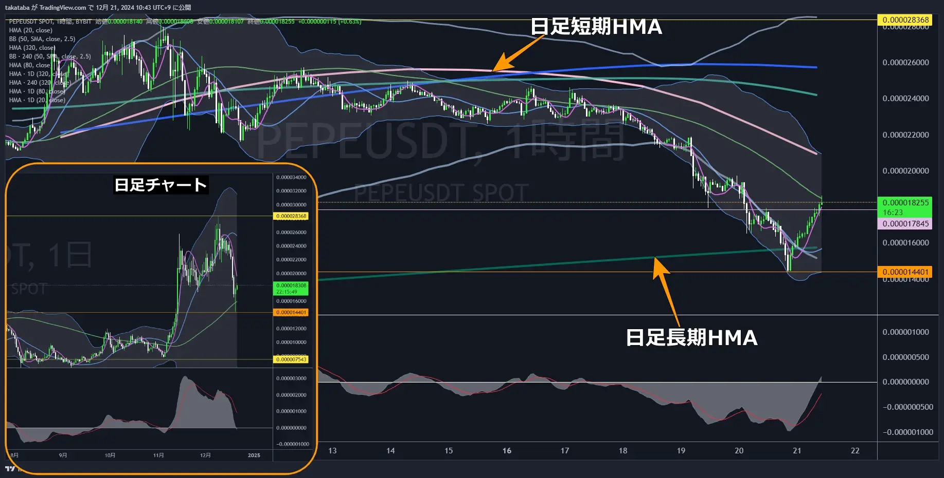 PEPEUSDT（ぺぺコイン）チャート分析-1h（1時間足）-2024-12-21