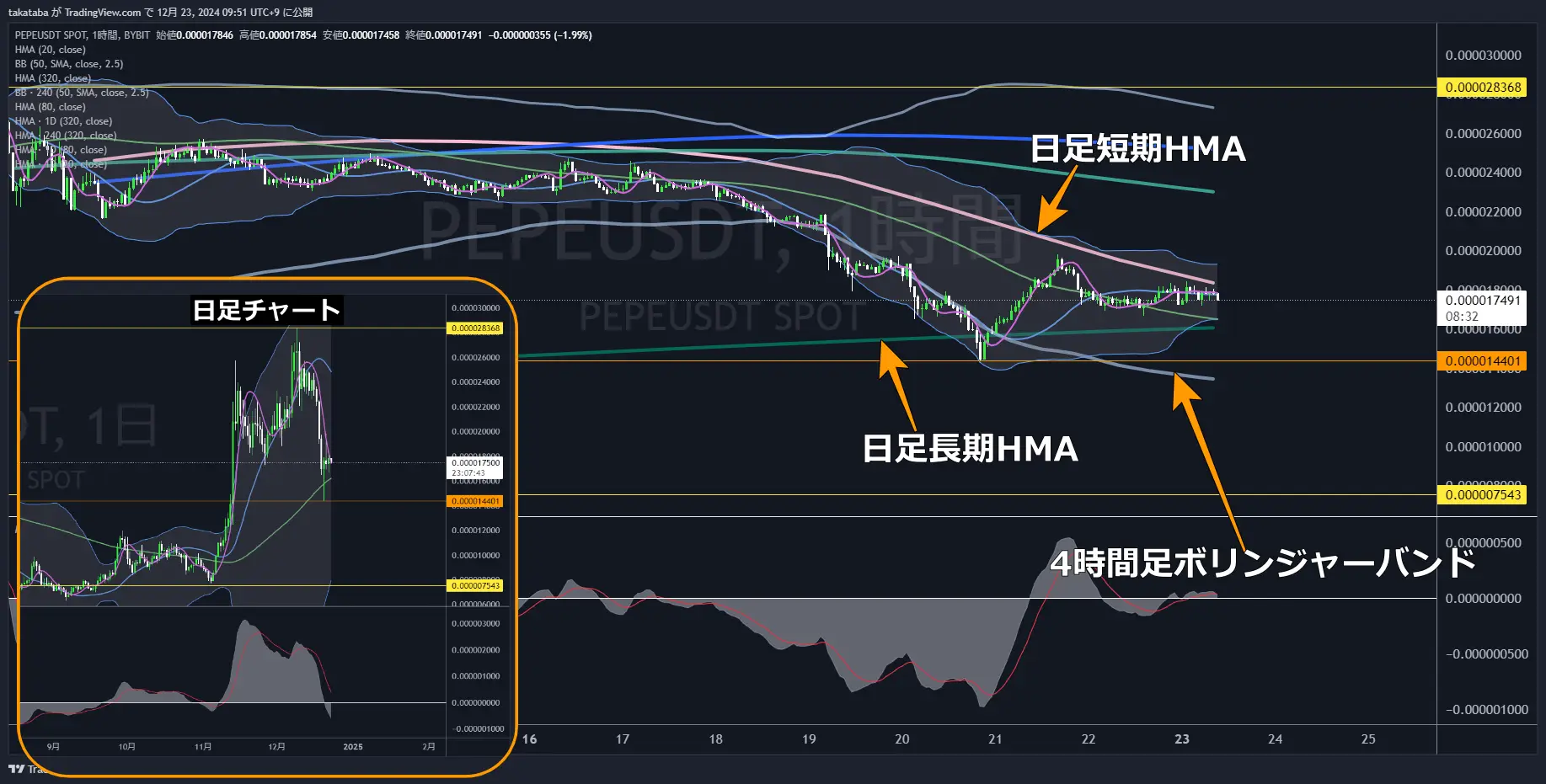 PEPEUSDT（ぺぺコイン）-1時間足チャート分析2024年12月23日
上昇するも転換とならず、下落の可能性を残す