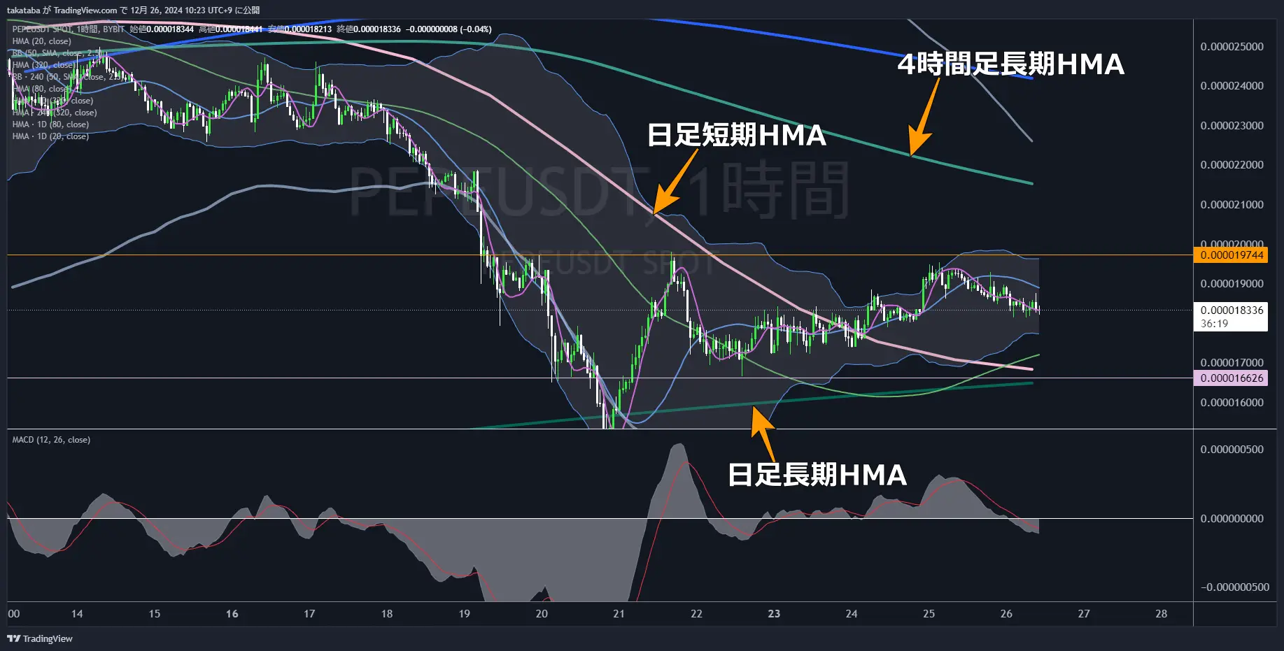 ペペコイン（PEPE）-1時間足チャート分析2024年12月26日
短期上昇勢いは減少、反発後の値動きに注目