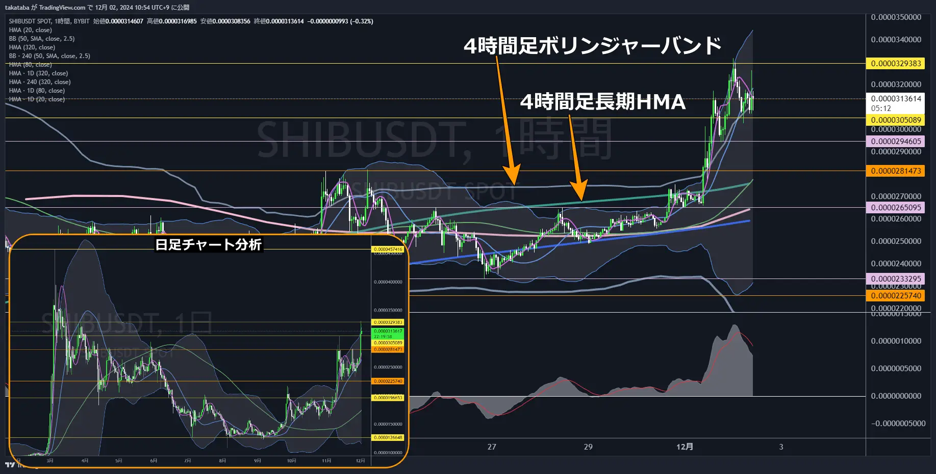 SHIBUSDT-1h-2024-12-02