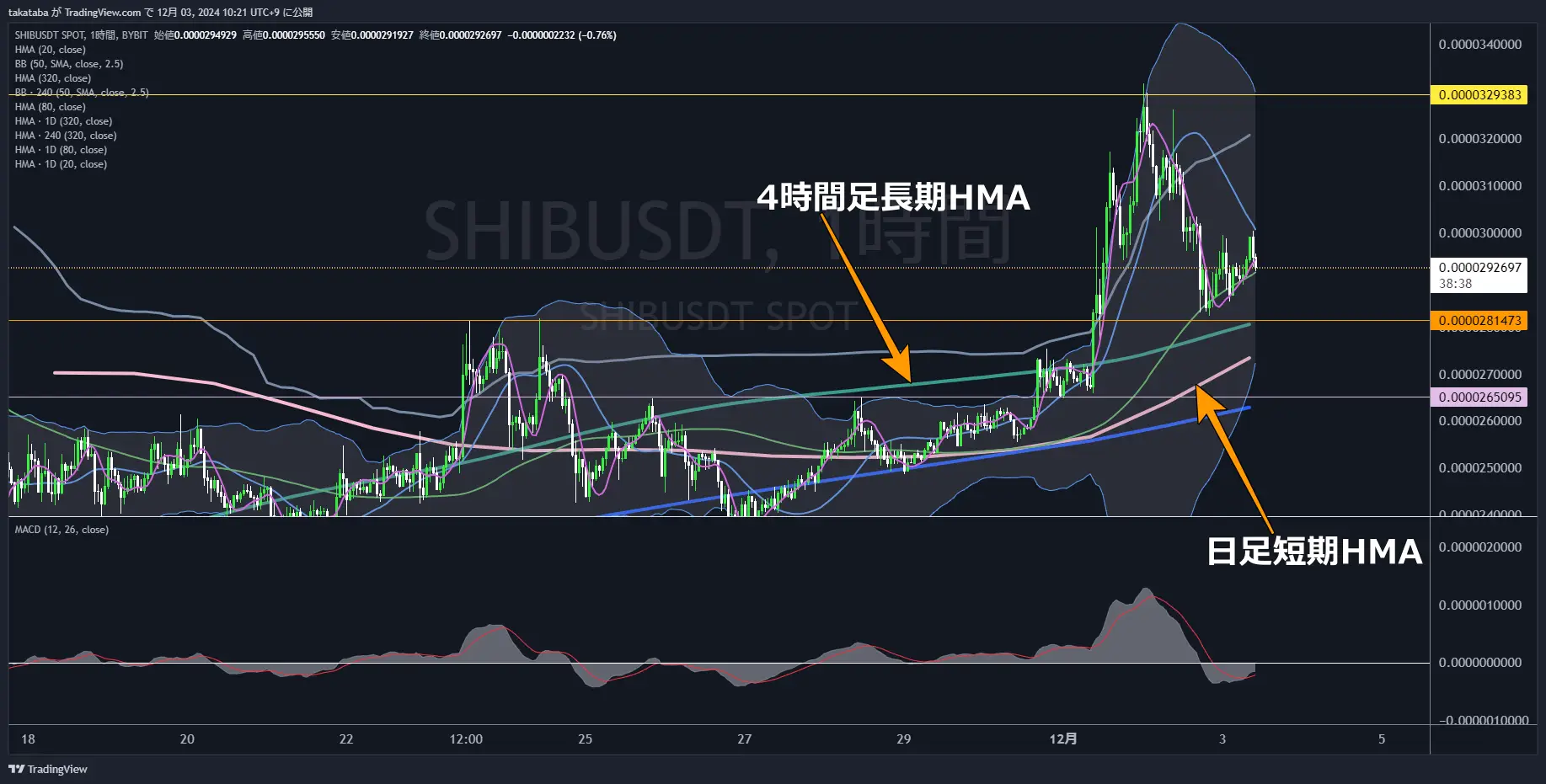 SHIBUSDT-1h-2024-12-03