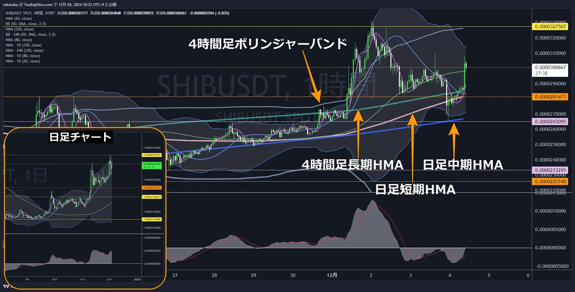 SHIBUSDT-1h-2024-12-04