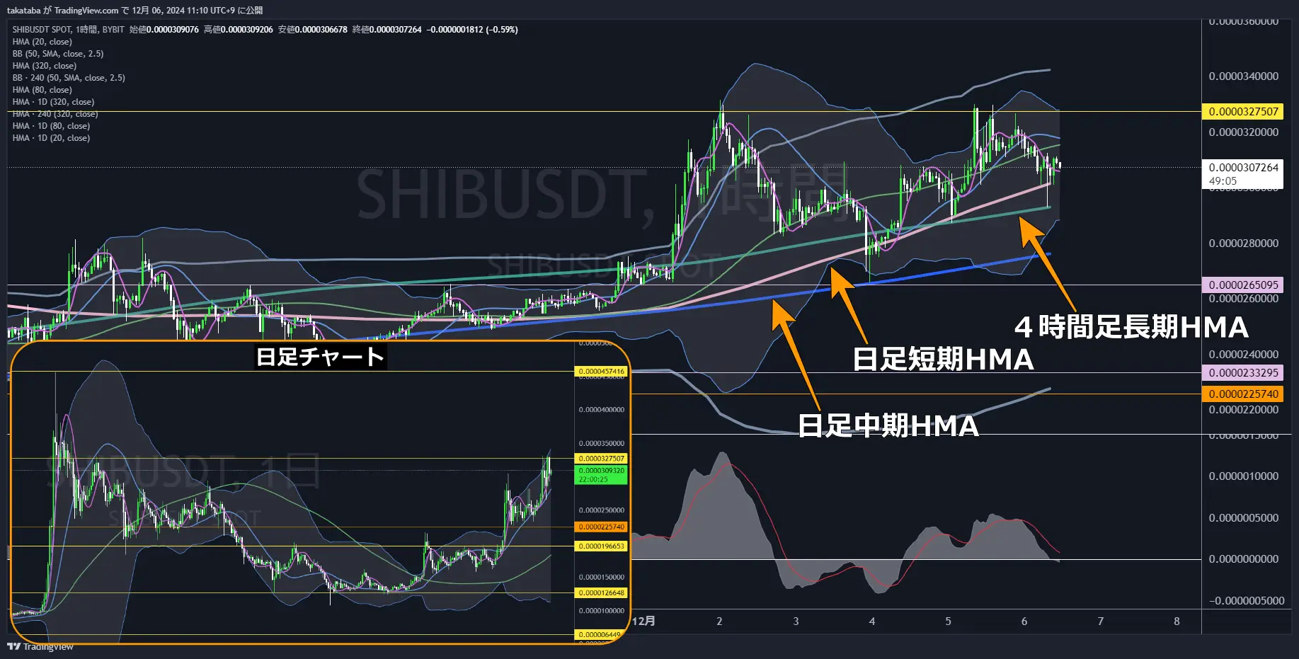 SHIBUSDT-1h-2024-12-06