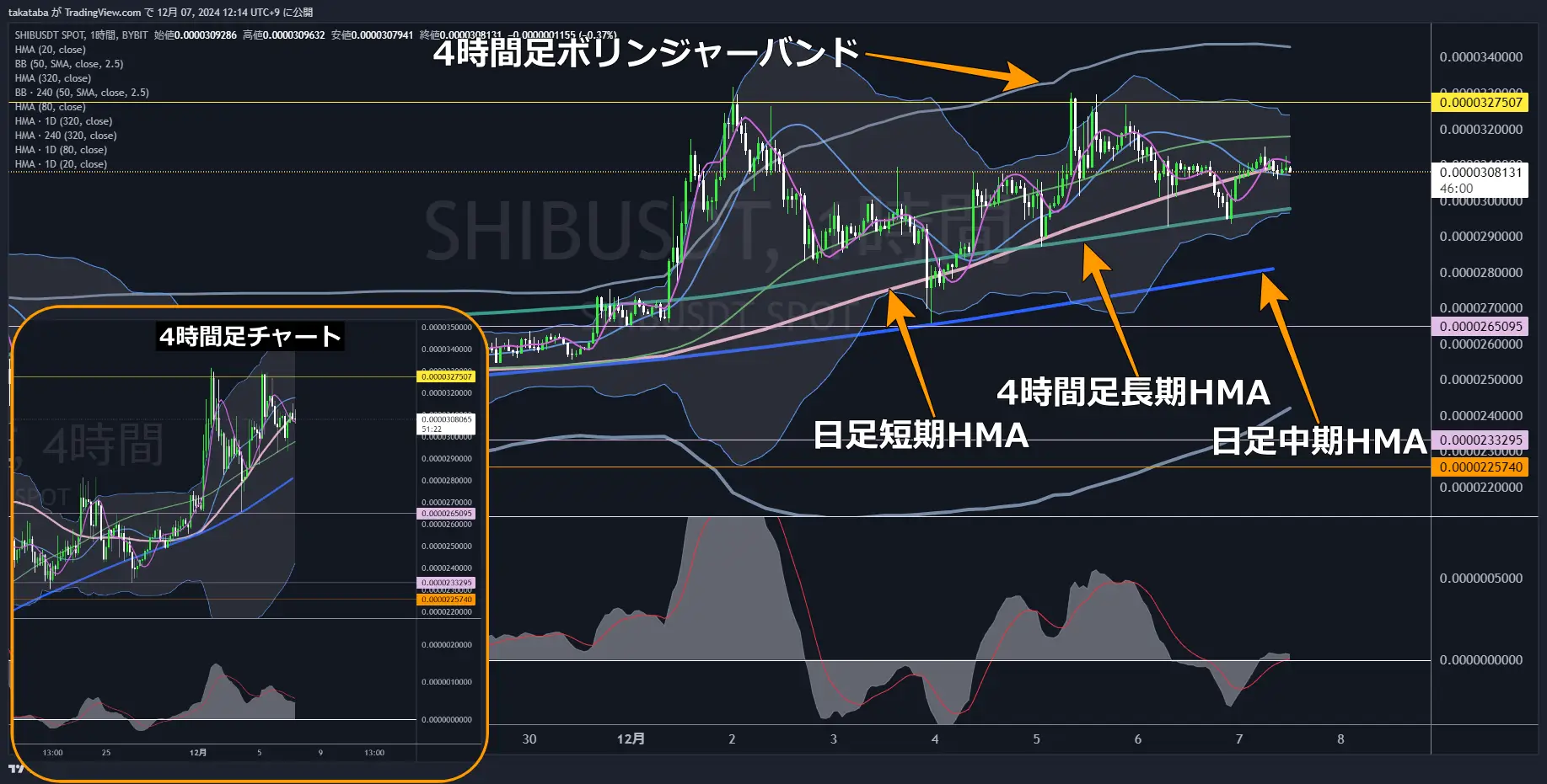 SHIBUSDT-1h-2024-12-07