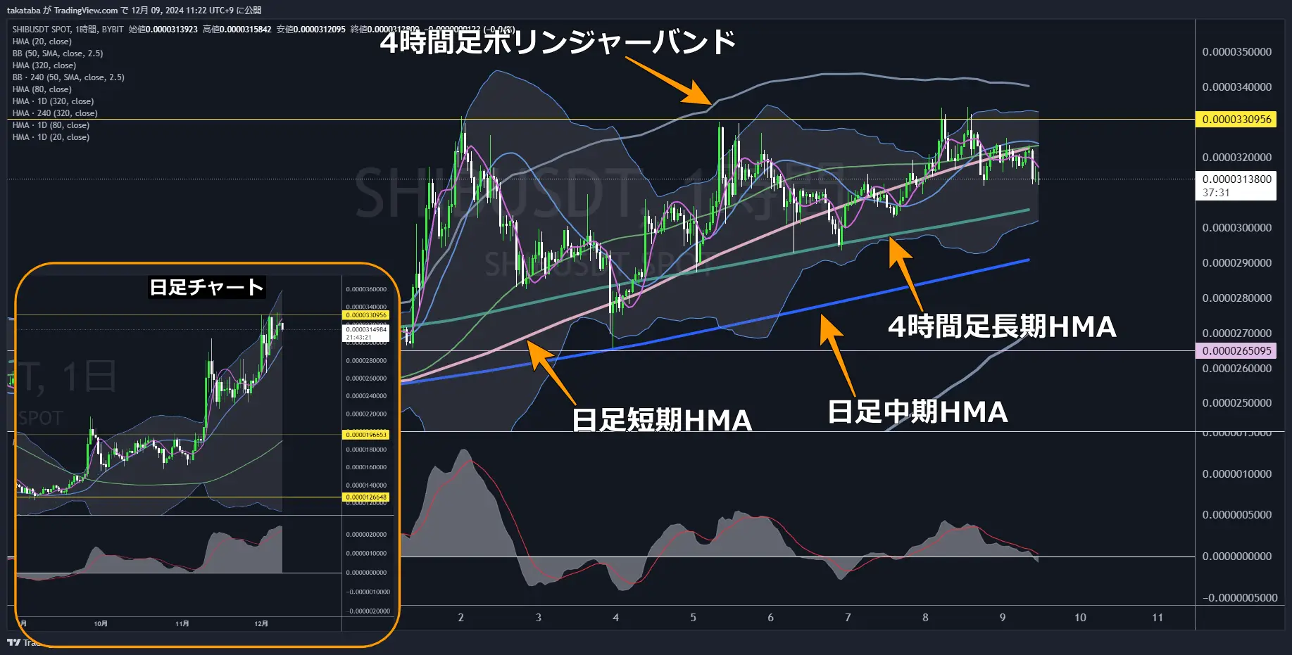 SHIBUSDT-1h-2024-12-09