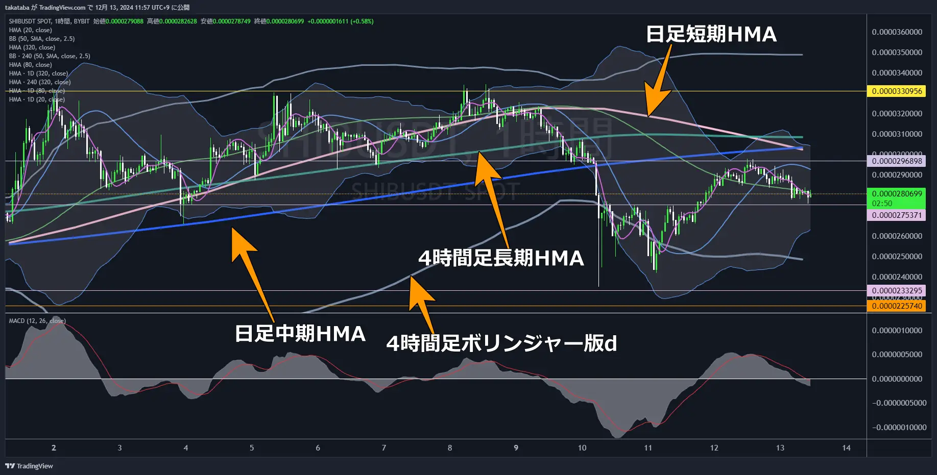 SHIBUSDT-1h-2024-12-13