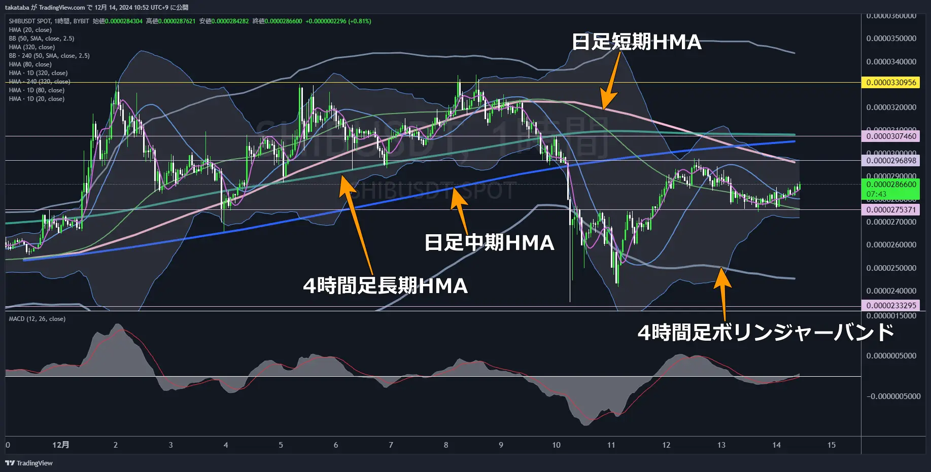 SHIBUSDT-1h-2024-12-14