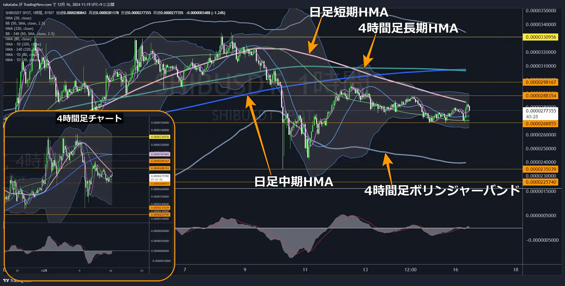 SHIBUSDT-1h-2024-12-16