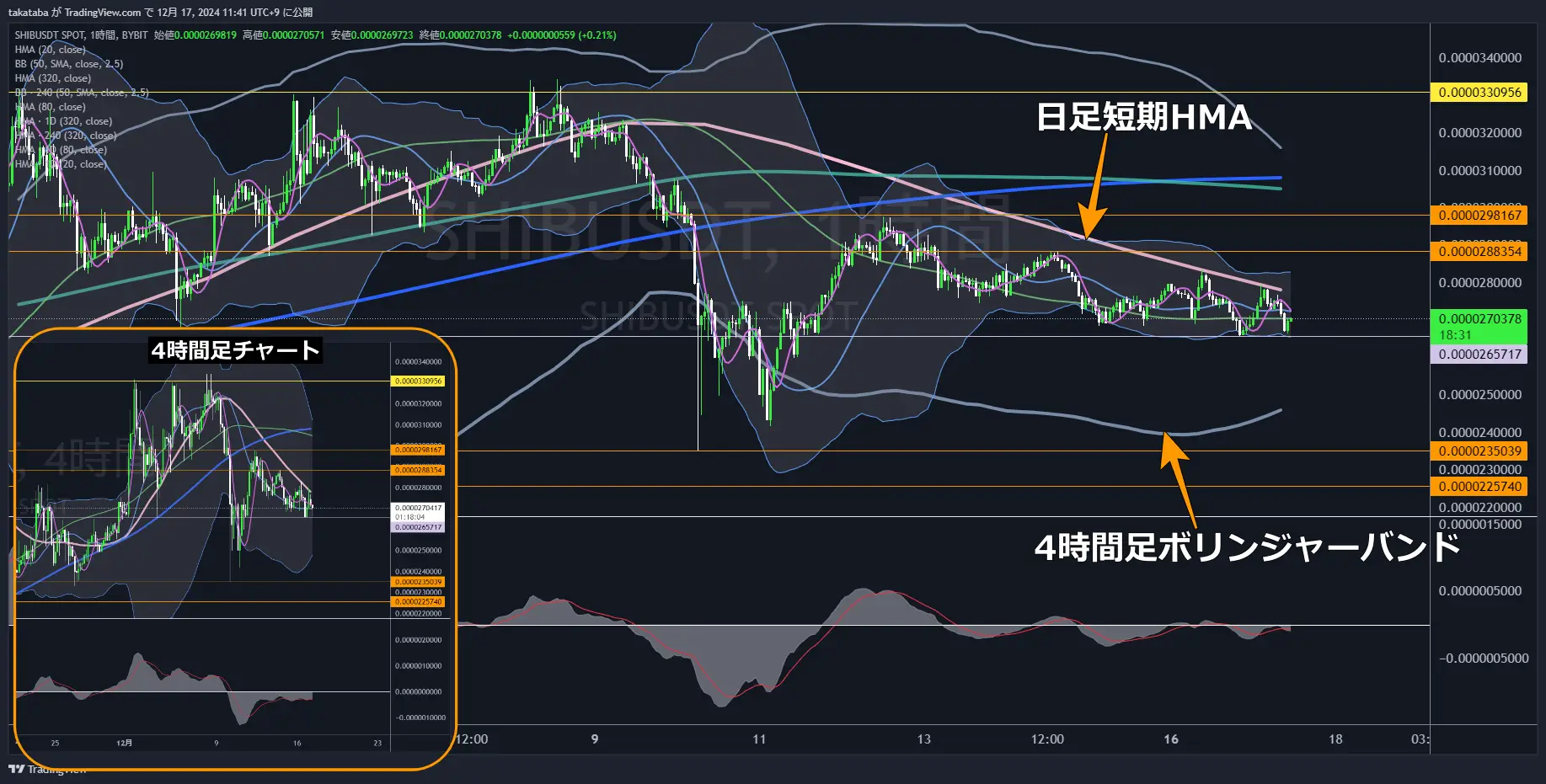 SHIBUSDT-1h-2024-12-17