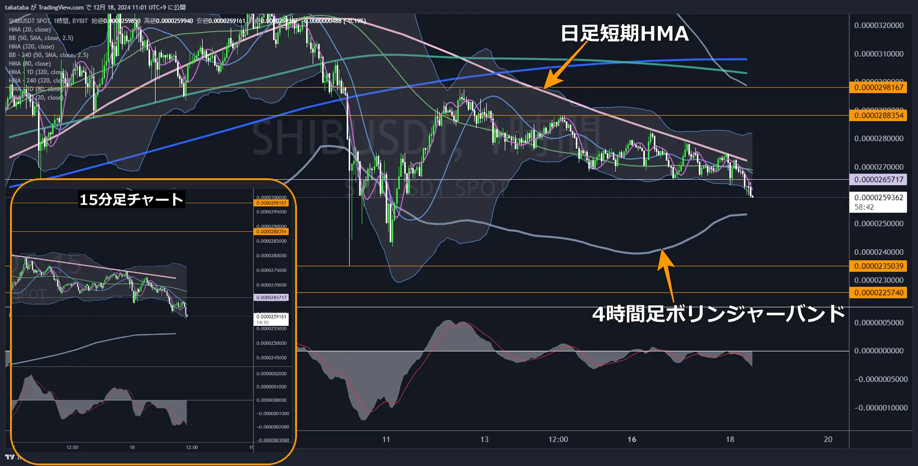 SHIBUSDT-1h-2024-12-18