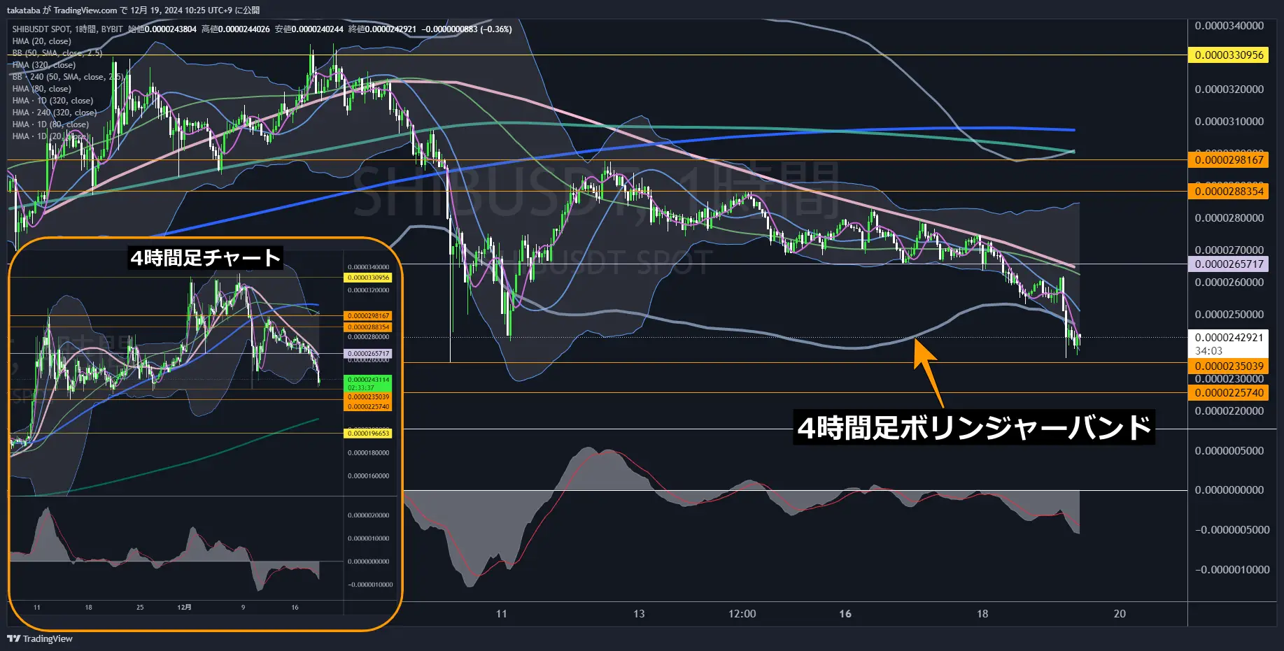 SHIBUSDT-1h-2024-12-19