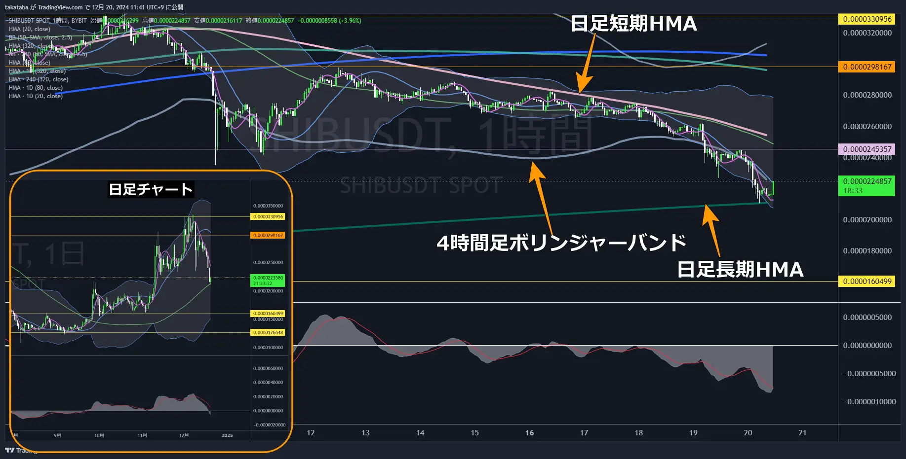 SHIBUSDT-1h-2024-12-20