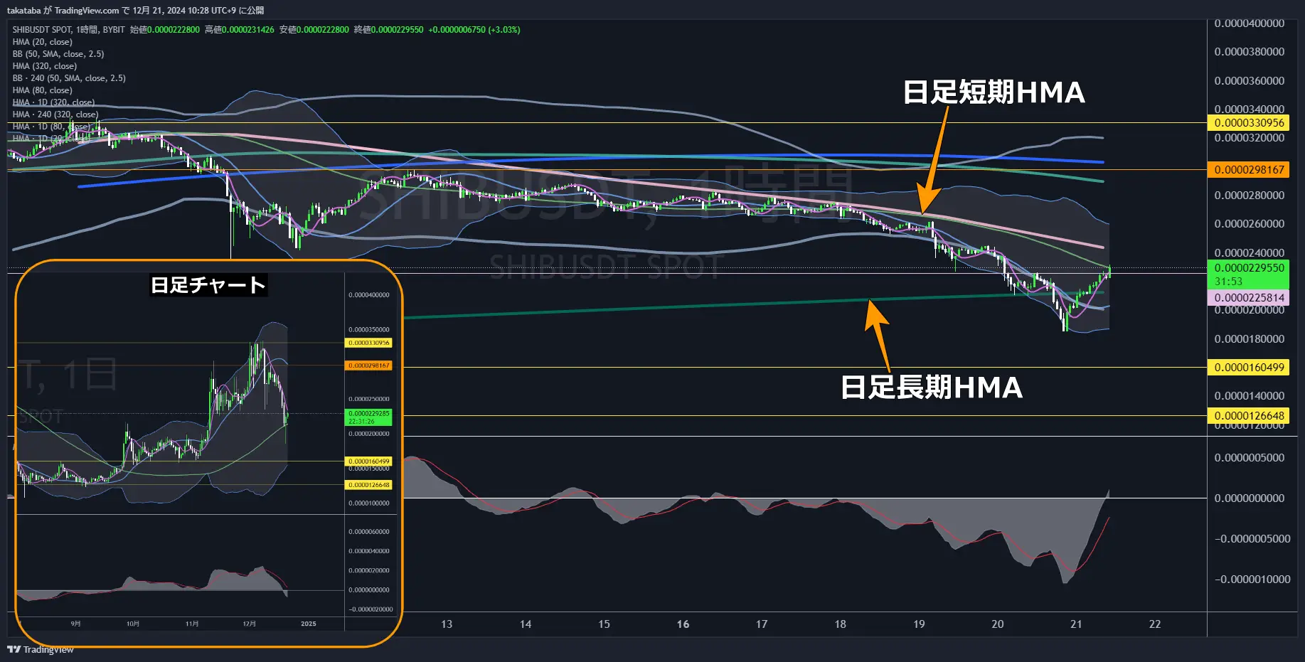 SHIBUSDT（柴犬コイン）チャート分析-1h（1時間足）-2024-12-21