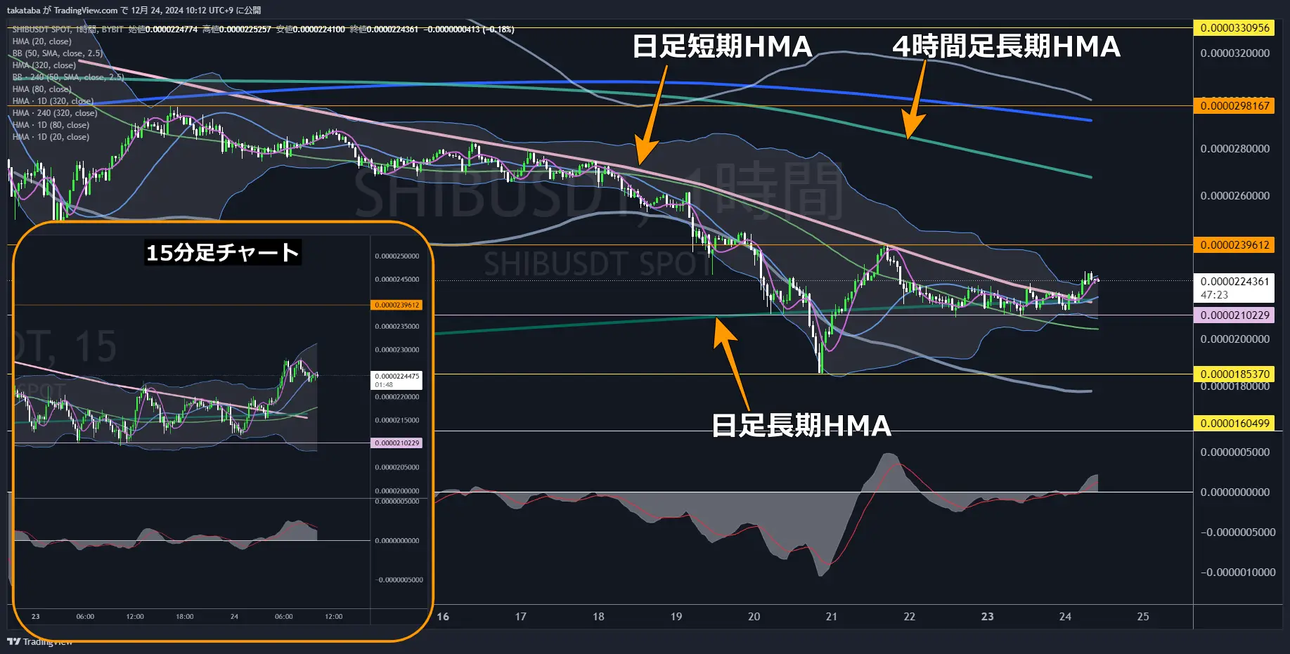 柴犬コイン（SHIB）-1時間足チャート分析2024年12月24日
価格は0.000026ドル付近まで回復を予想