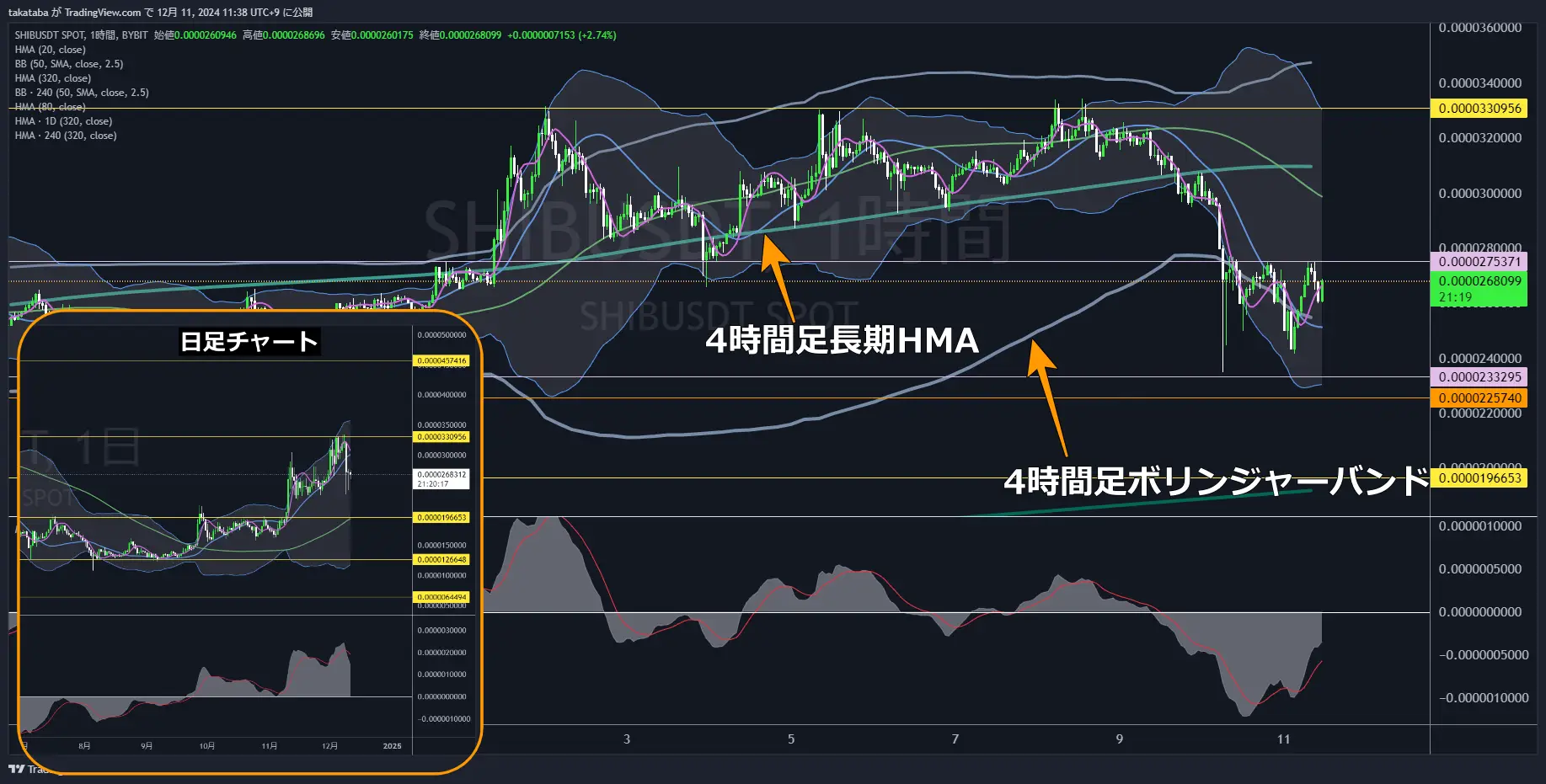 SHIBUSDT-1h2024-12-11
