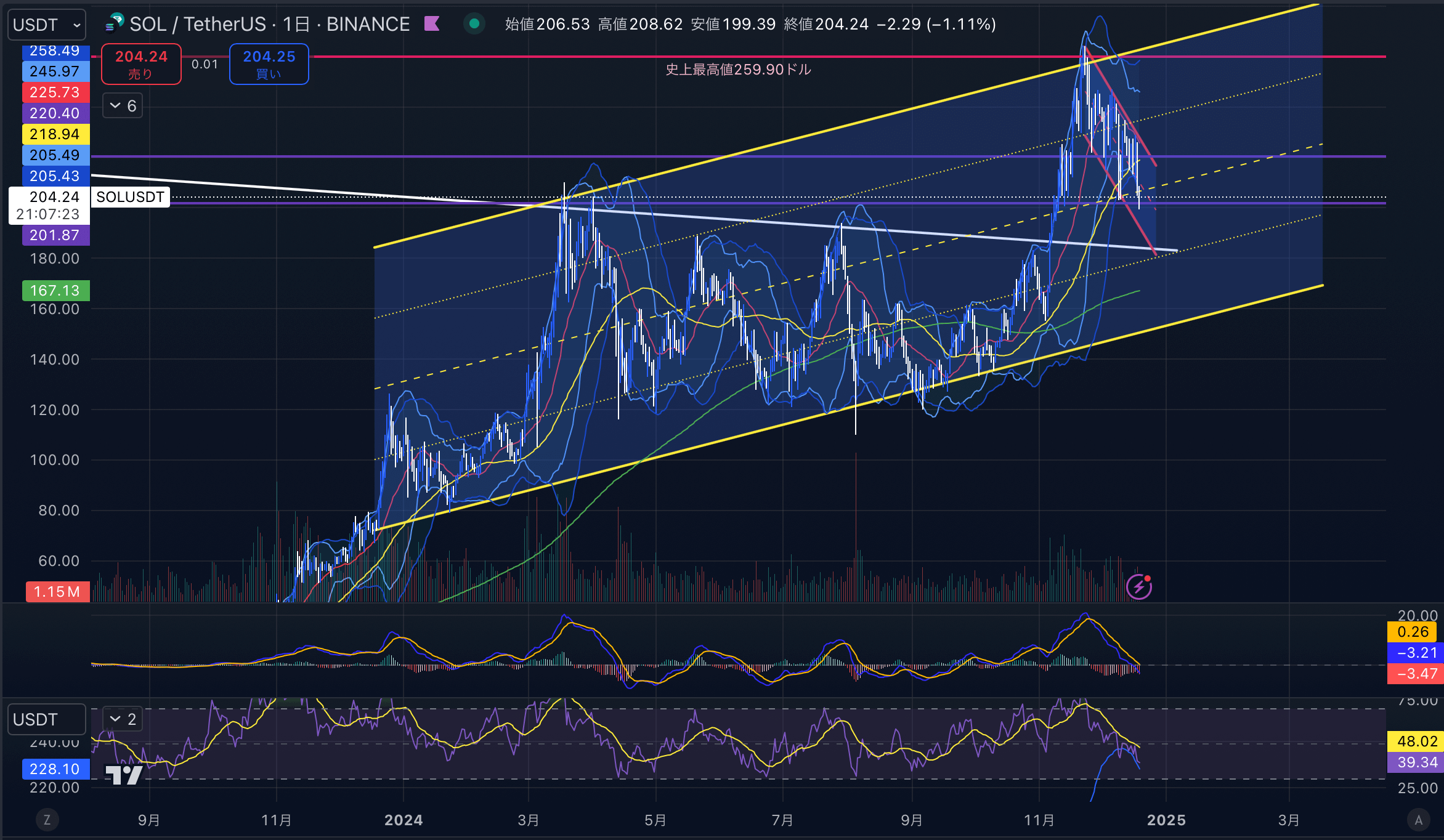 ソラナ（SOLUSD）　日足チャート分析　2024年12月19日