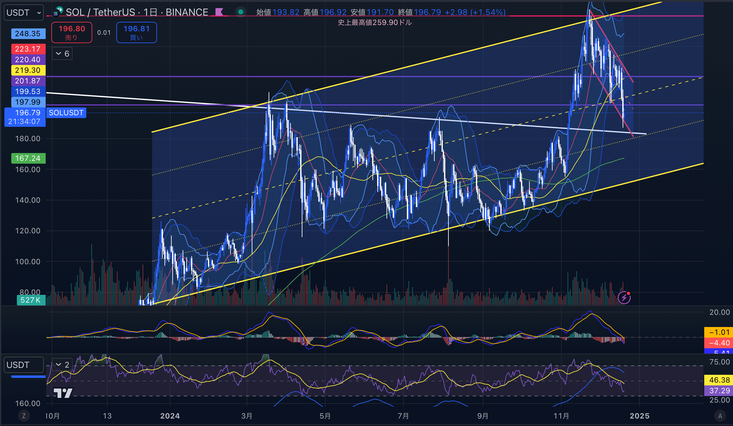 ソラナ（SOL USD）　日足チャート分析 2024年12月20日