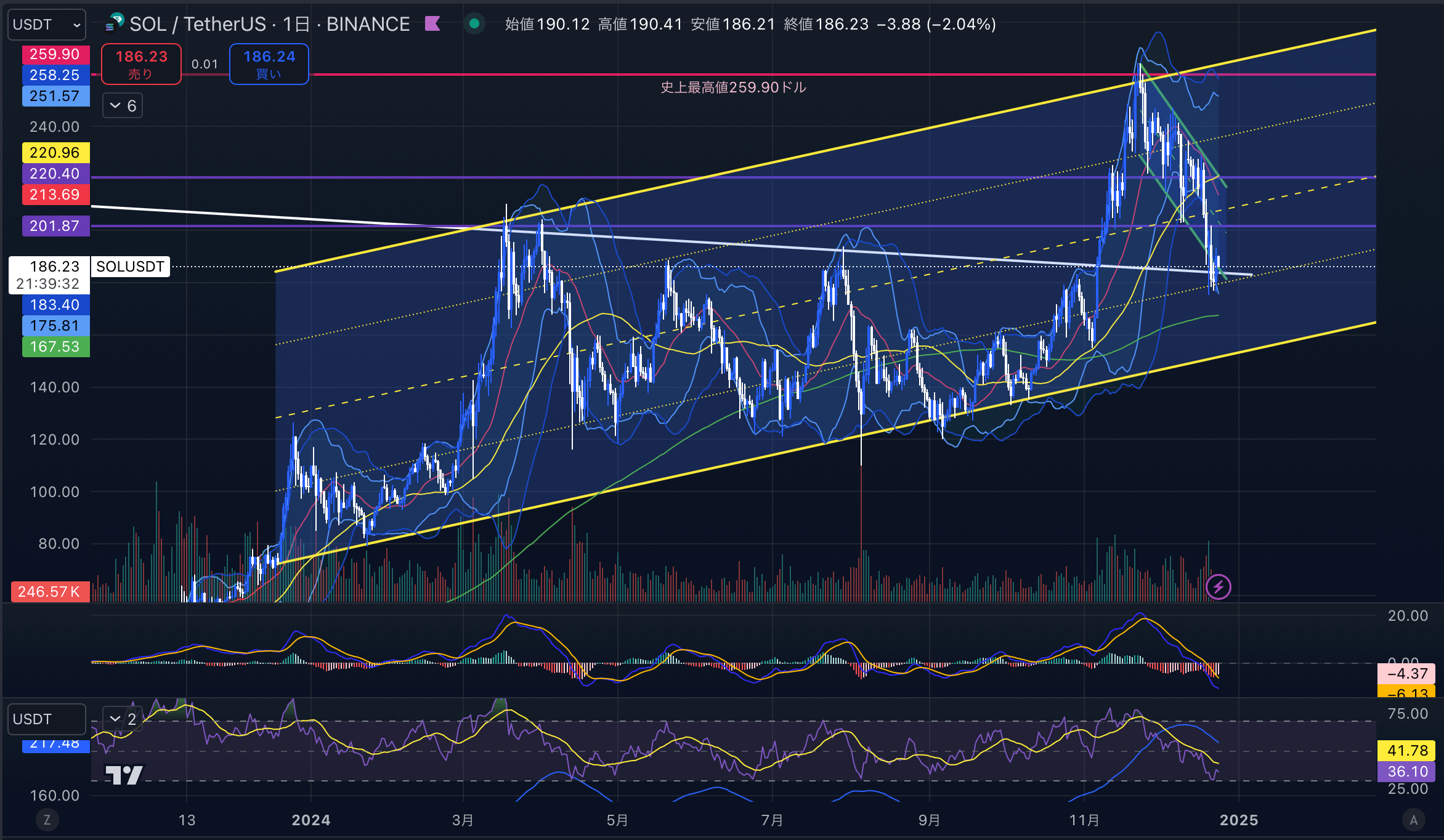 ソラナ（SOL USD）　日足チャート分析 2024年12月24日