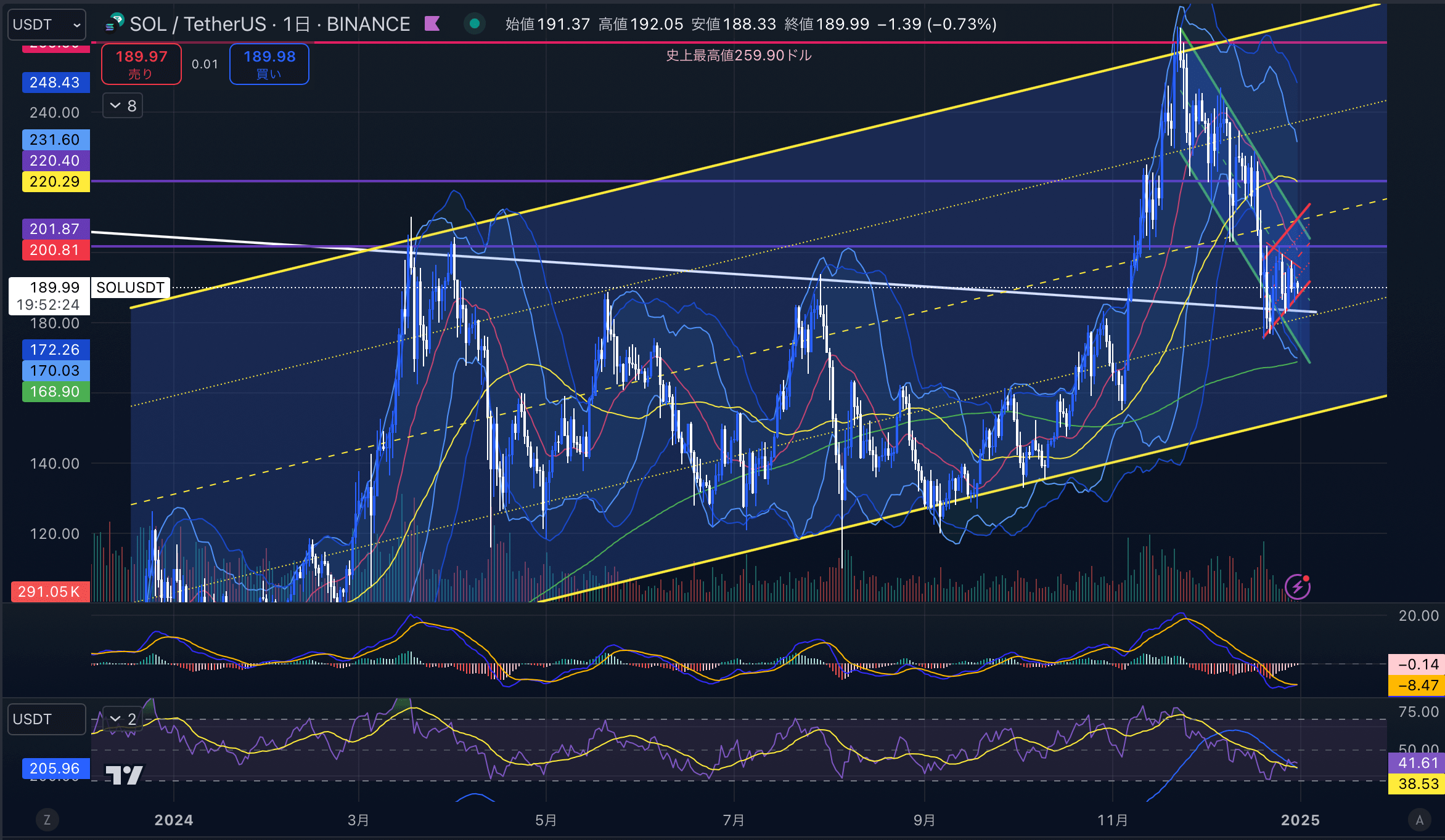 ソラナ（SOL USD）　日足チャート分析 2024年12月31日