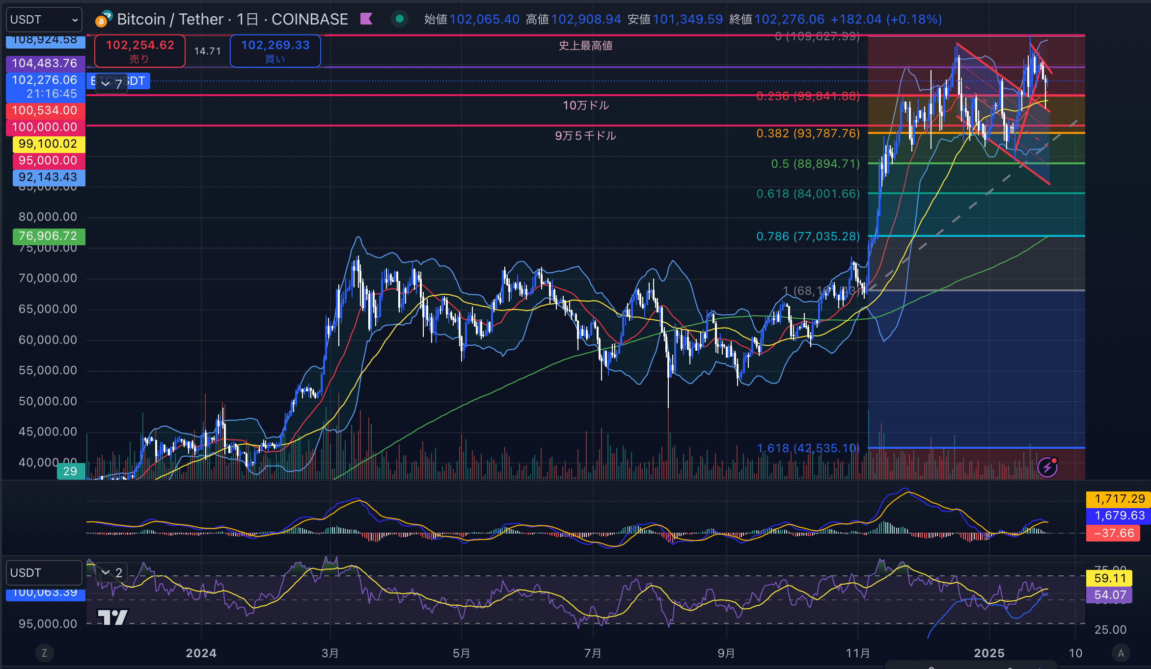 ビットコイン（BTC USD）日足チャート分析 2025年1月28日