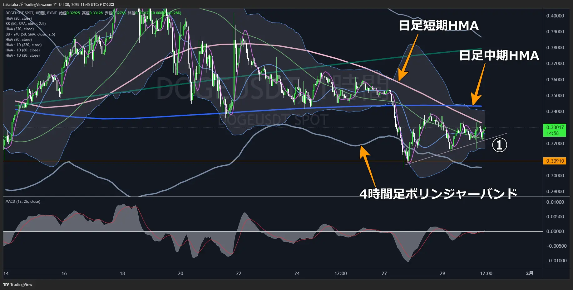 ドージコイン（DOGE）-1時間足チャート分析2025年1月30日
日足中期HMAもしくは中長期サポート突破が鍵
