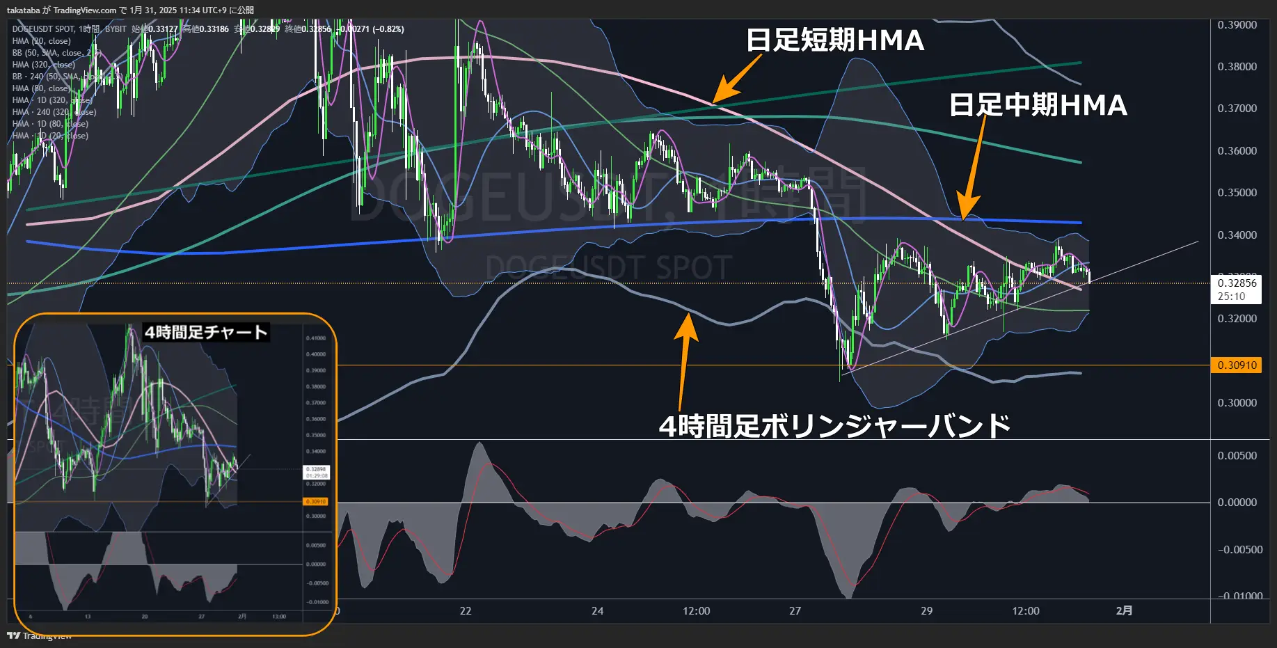 ドージコイン（DOGE）-1時間足チャート分析2025年1月31日
短期の下落リスク回避、だが再度下落への警戒が必要
