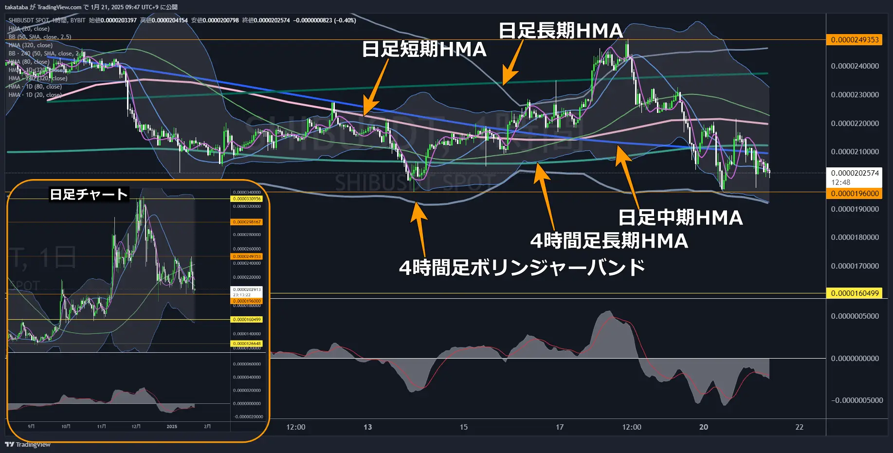 柴犬コイン（SHIB）-1時間足チャート分析2025年1月25日
長期的に大きな下落となる可能性あり
