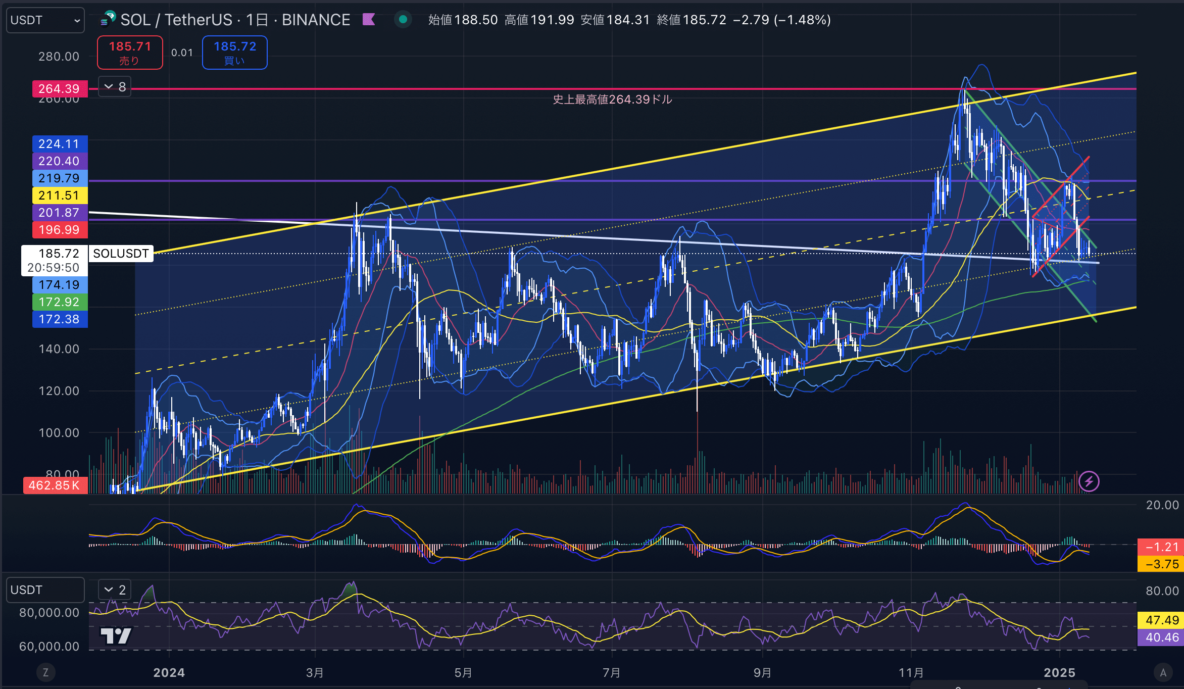 ソラナ　（SOLUSD）日足チャート分析　2025年1月13日