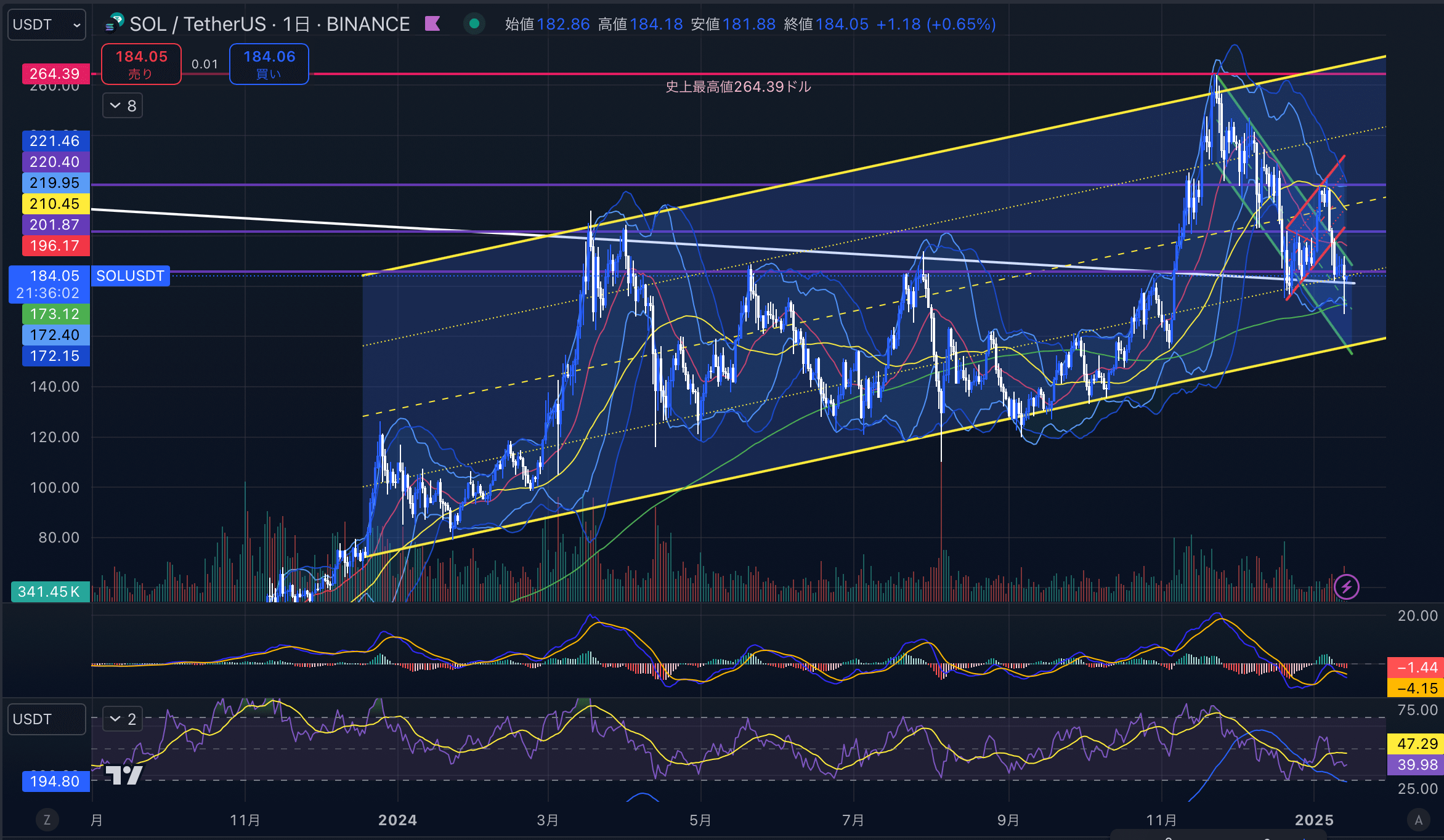 ソラナ(SOL USD)　日足チャート分析 2025年1月14日