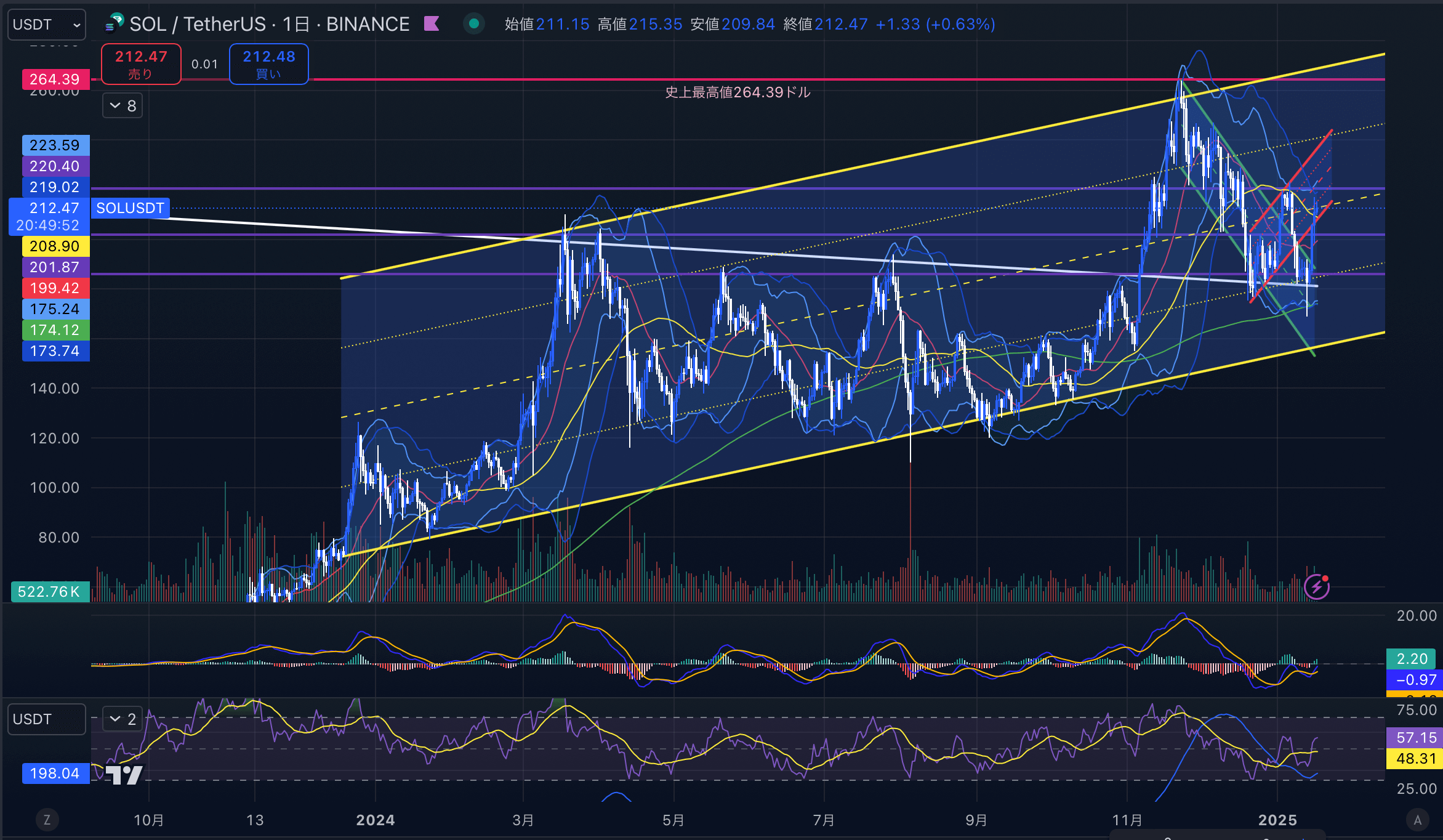 ソラナ(SOL USD)　日足チャート分析 2025年1月17日