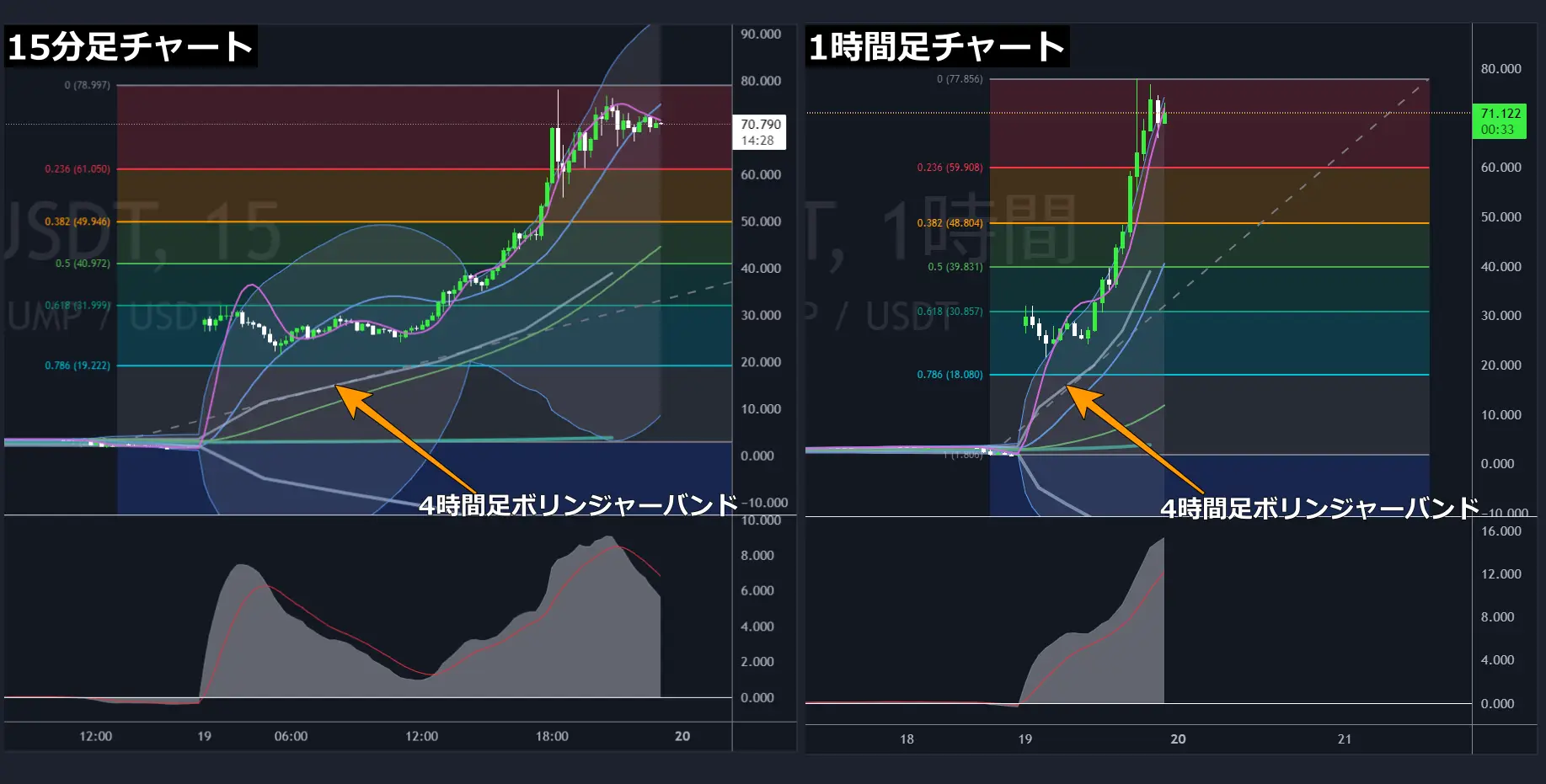 トランプコインチャート分析（価格分析）2025年1月19日