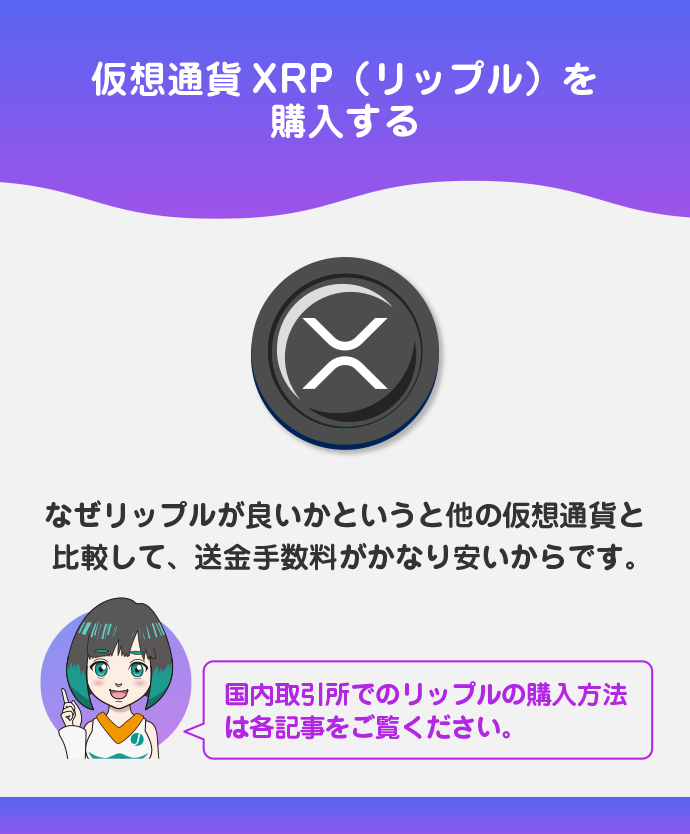 国内取引所でリップルを購入
