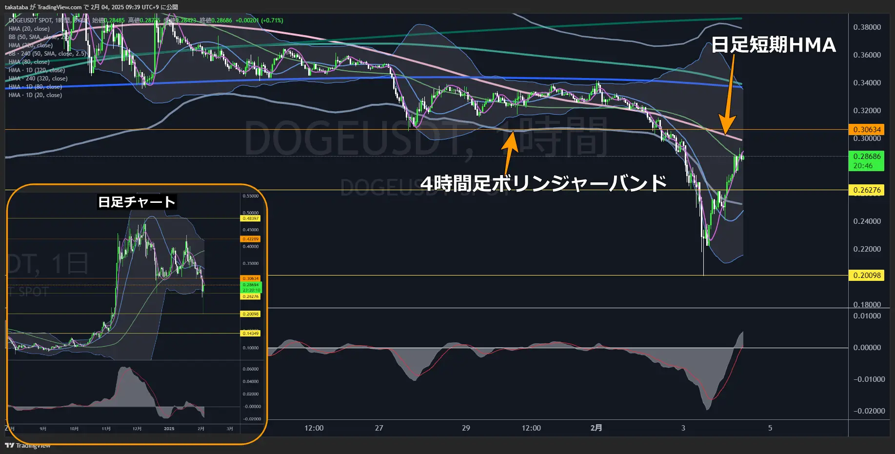 ドージコイン（DOGE）-1時間足チャート分析2025年2月4日
急落するも反発、0.30634ドルを上限とした横ばい相場となるか
