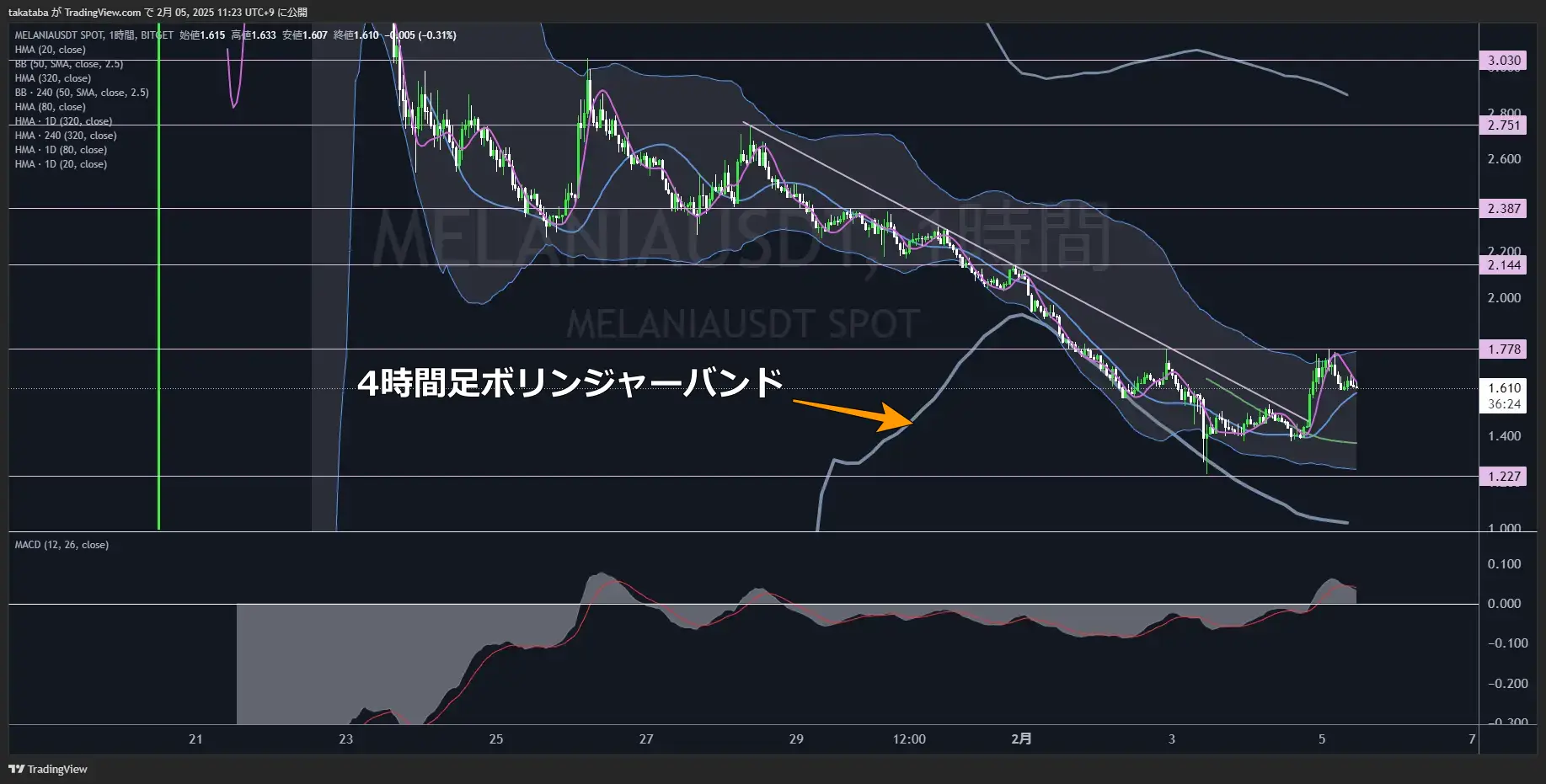 メラニアコイン（MELANIA）-1時間足チャート分析2025年2月5日
 戻り高値付近で反発、短期上昇押し目からの再上昇に期待