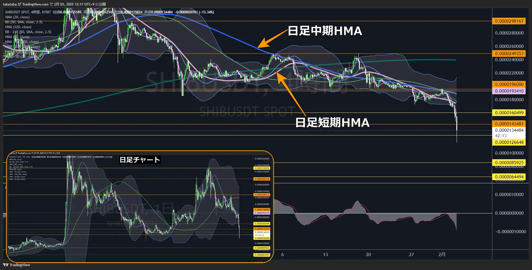 柴犬コイン（SHIB）-4時間足チャート分析2025年2月3日
日足レベルでの下降相場、押し目形成後さらに下落する予想
