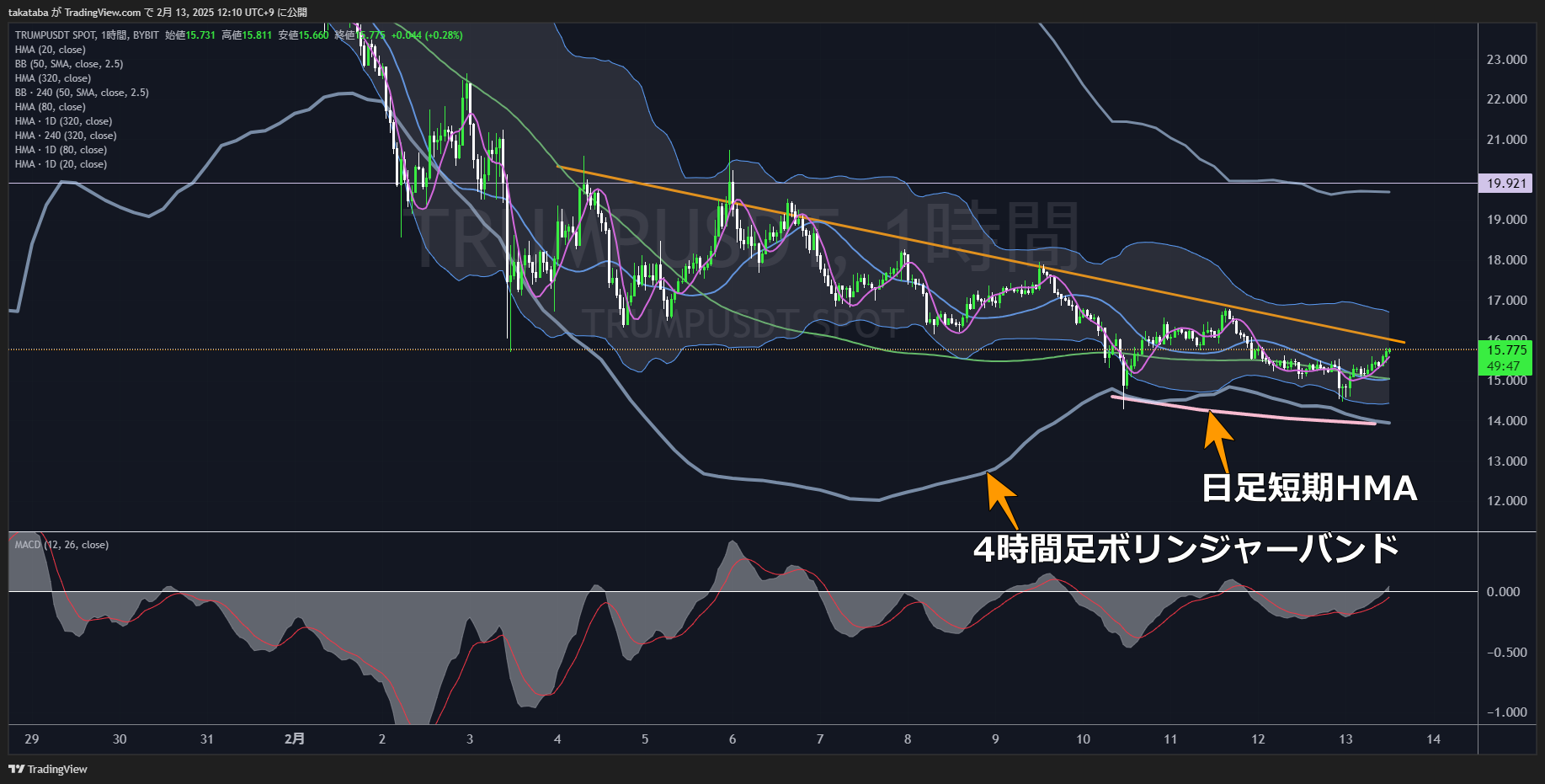 トランプコイン（TRUMP）-1時間足チャート分析2025年2月13日
今後トレンドラインを突破すれば上昇の可能性が高まる

