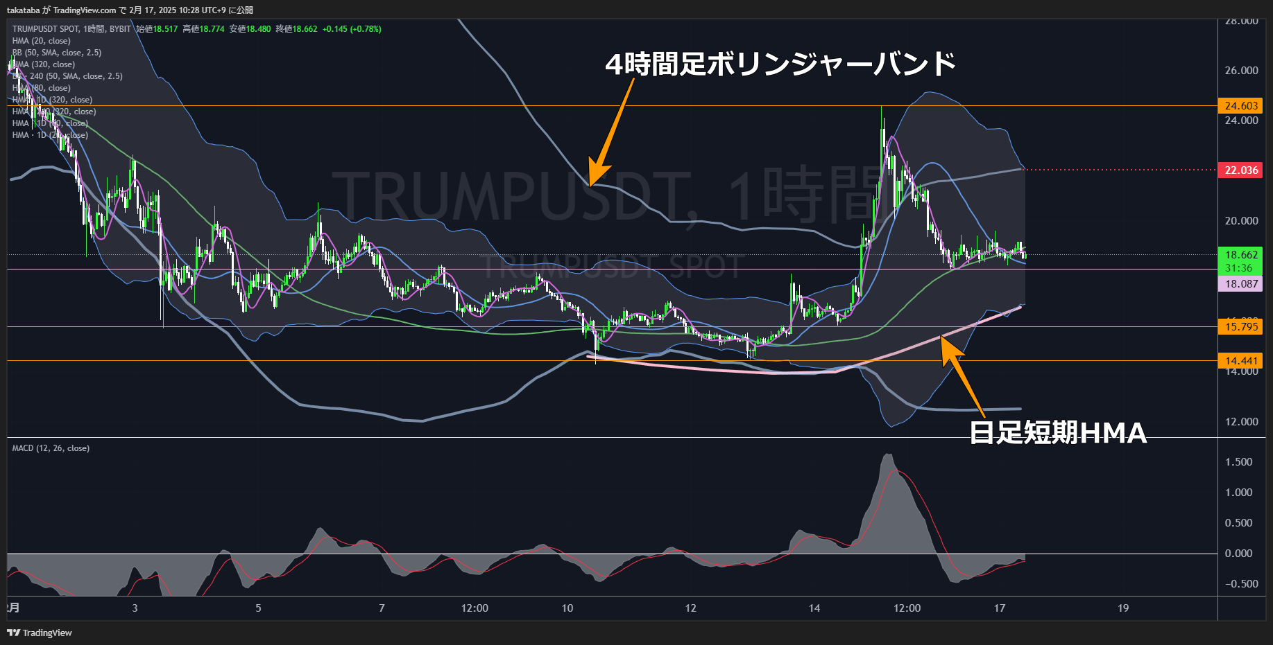 トランプコイン（TRUMP）1時間足チャート分析2025年2月17日
サポート付近での攻防、上昇の起点となるか
