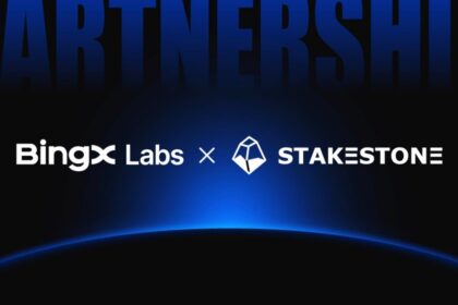 BingX Labs、StakeStoneへ1,000万ドルを提供｜流動性インフラの強化を目指す