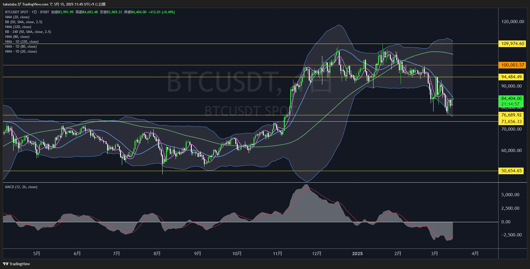 ビットコイン（BTC）-日足チャート分析2025年3月15日
日足レベルでは下落勢い減少は見られず
