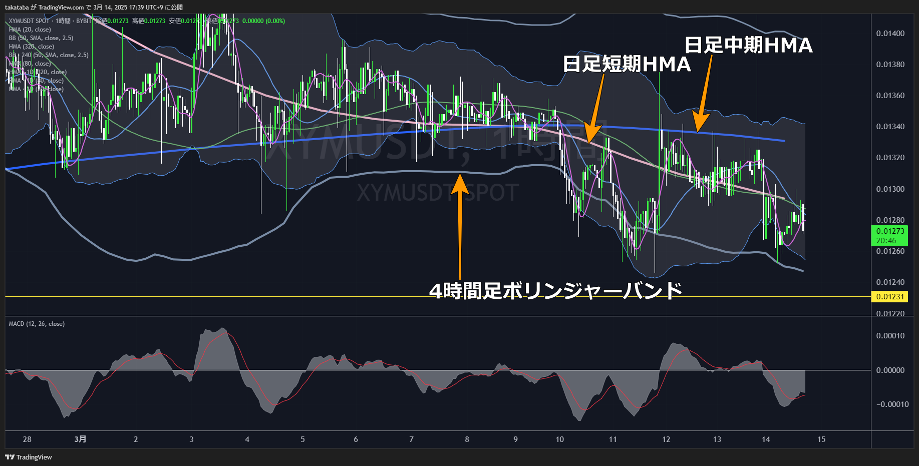 シンボル（XYM）-1時間足チャート分析2025年3月14日
下落圧増、0.01231ドル付近まで下落するか？
