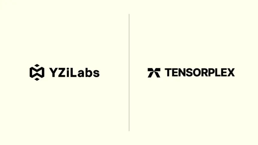 YZi Labs、分散型AI開発「Tensorplex Labs」に投資｜AI×人間の協働を加速