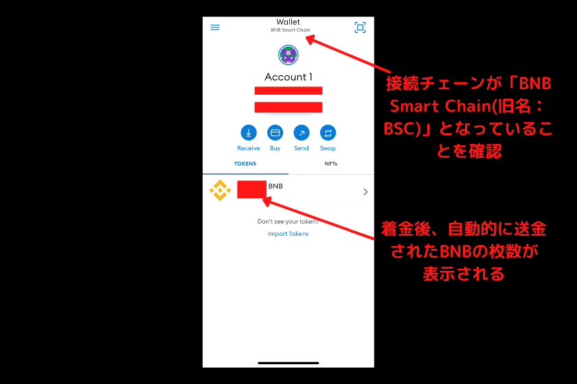 画像5:BSCエコシステムDApp「メタマスクでBSC接続2」