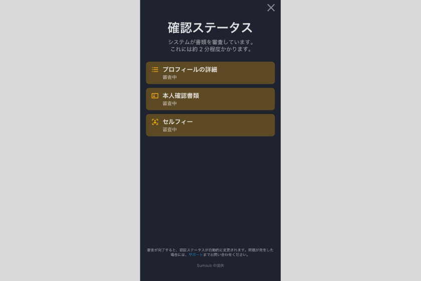 画像13:RedotPay「本人確認03」