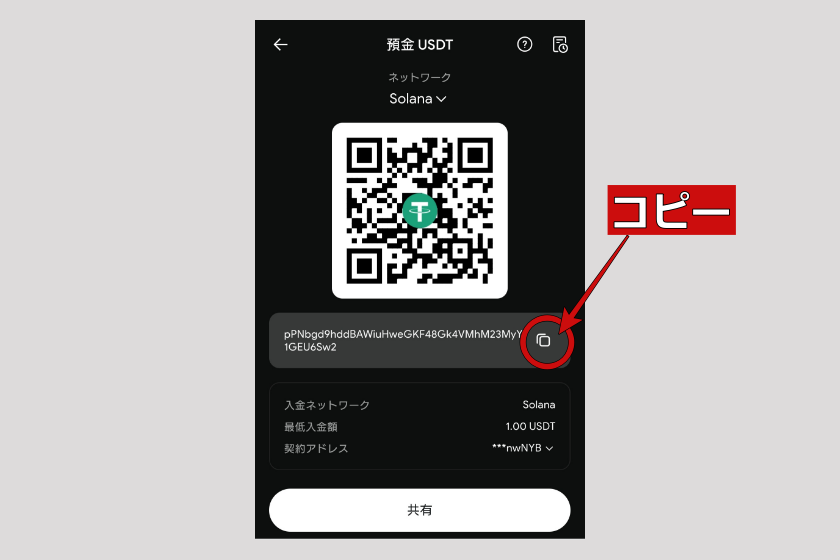 画像16:RedotPay「入金03」