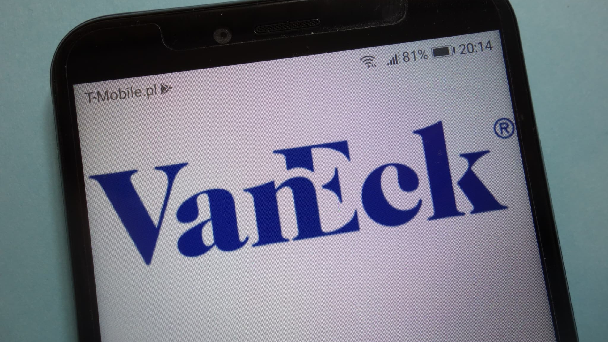 VanEck、アバランチ特化型ファンド「PurposeBuilt Fund」を6月設立へ