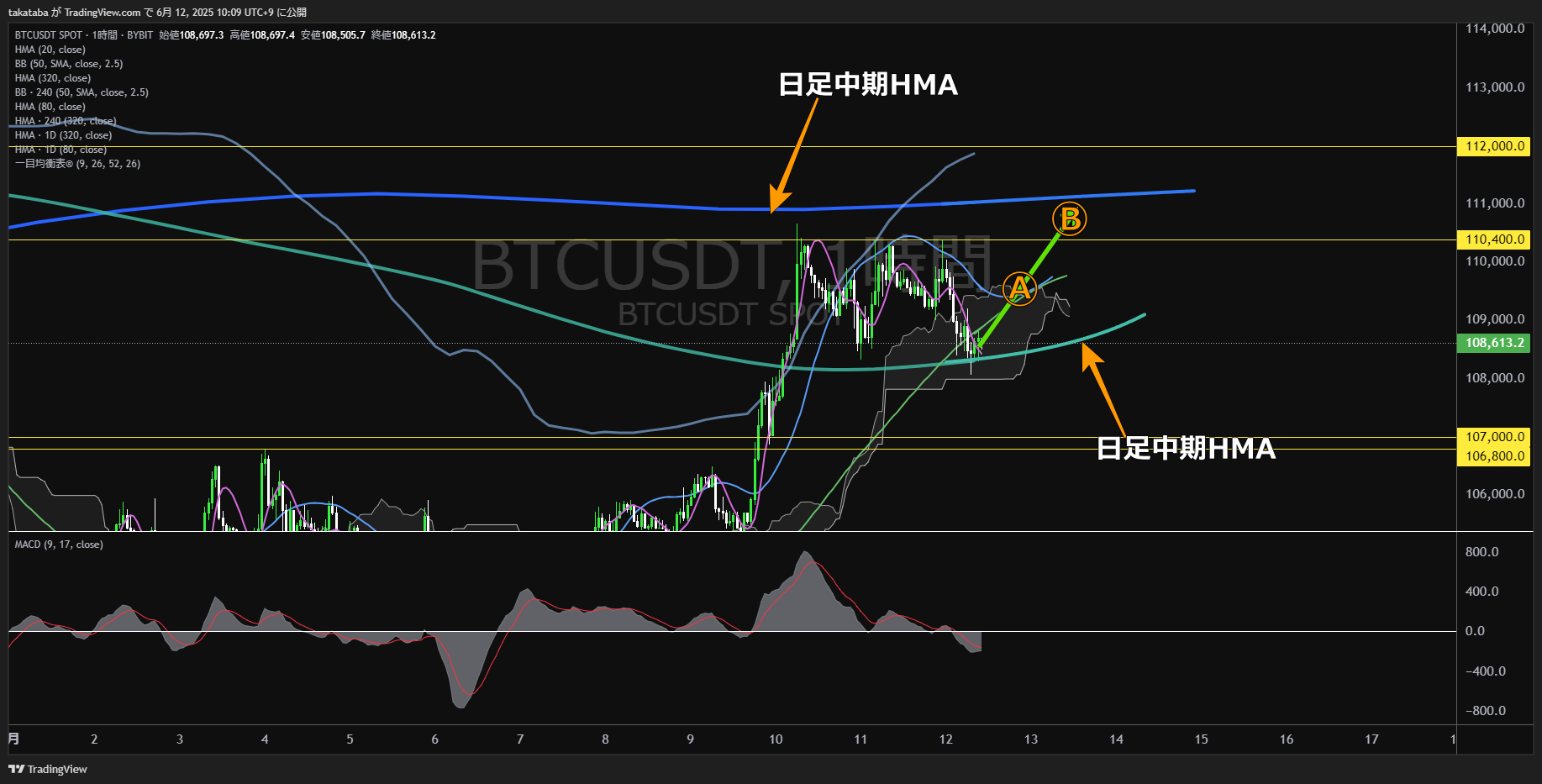 ビットコイン(BTC)-1時間足チャート分析-2025年6月12日